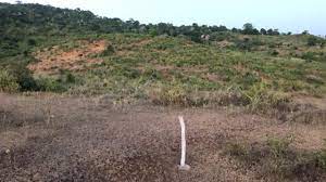 Plots for Sale in Miritini Mombasa