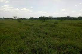 Namanga Land for Sale