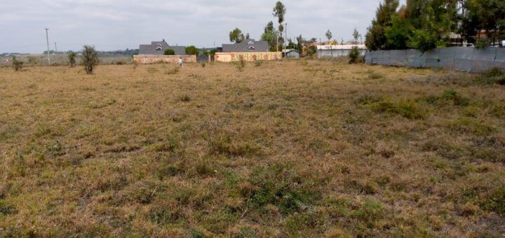 Plots for Sale in Miritini Mombasa