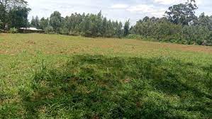 Land for Sale in Bungoma