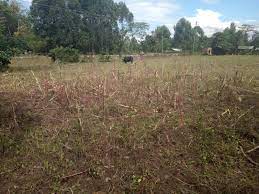 Land for Sale in Bungoma