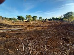 Plots for Sale in Kisii County 