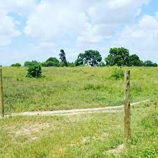 Kilifi Creek Plots for Sale