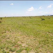 Plots for Sale in Juja Town