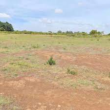 Plots for Sale in Juja Gachororo