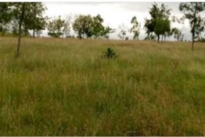 Agricultural Land for Sale in Nyandarua