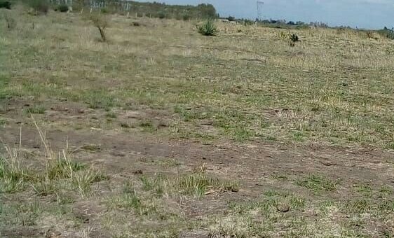 land for sale in juja farm mwireri 8fxsx