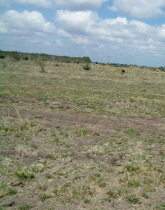 land for sale in juja farm mwireri