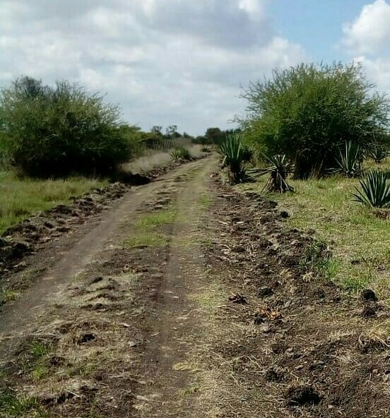 land for sale in juja farm mwireri utiqi