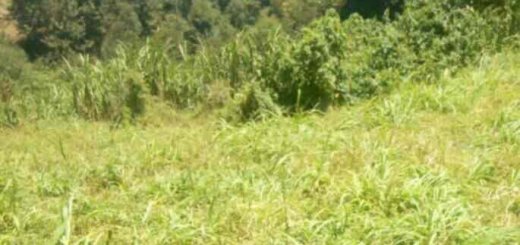 land for sale in kamangu kikuyu inf4s