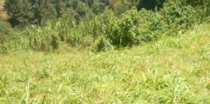 land for sale in kamangu kikuyu inf4s