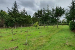 Agricultural Land for Sale in Nyandarua