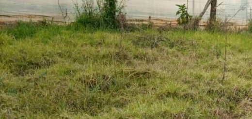 land for sale in kisima area burri timau area nanyuki laikipia east vmoco