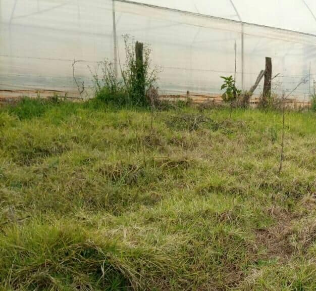 land for sale in kisima area burri timau area nanyuki laikipia east vmoco