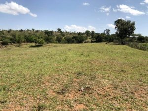 Land for Sale in Sweetwater Nanyuki