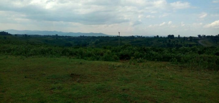 land for sale in timau nanyuki town lfpms