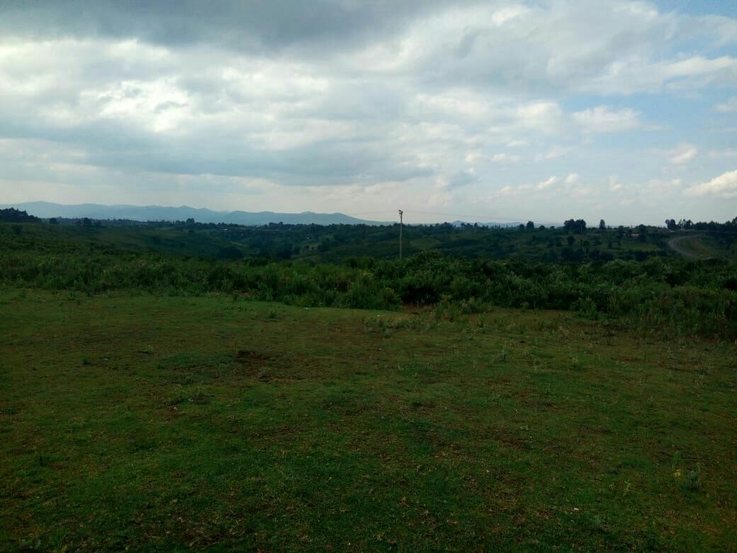 land for sale in timau nanyuki town lfpms