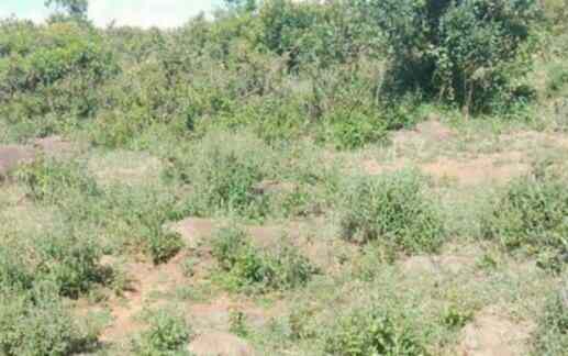 land for sale ngarua kinamba laikipia county ogug9