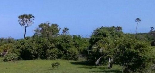 land in diani kwale county for sale hjey3