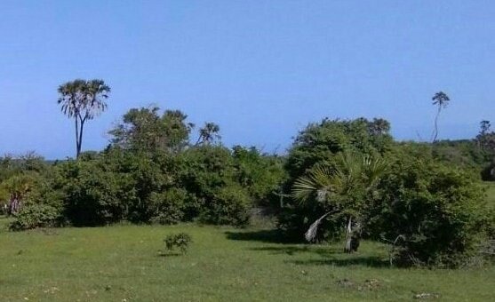 land in diani kwale county for sale hjey3