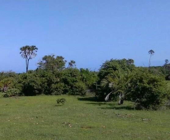 land in diani kwale county for sale hjey3