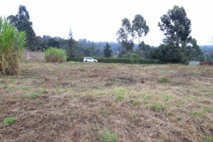 land in kerarapon ngong for sale dxwwe