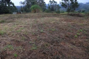 Plots for Sale in Kerarapon Road Karen