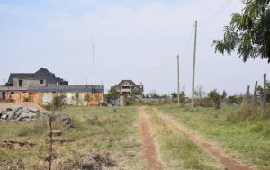 land in ruiru kamakis green valley for sale rtknt