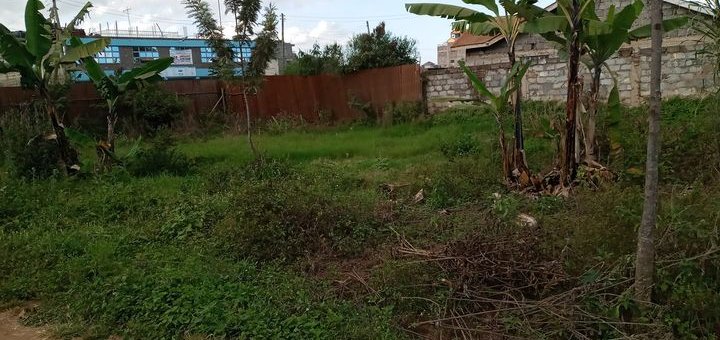 ruiru matangi land for sale g4l3n