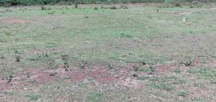 wd4ze land for sale in mwiki kasarani