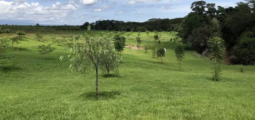 prime land for sale in Nairobi