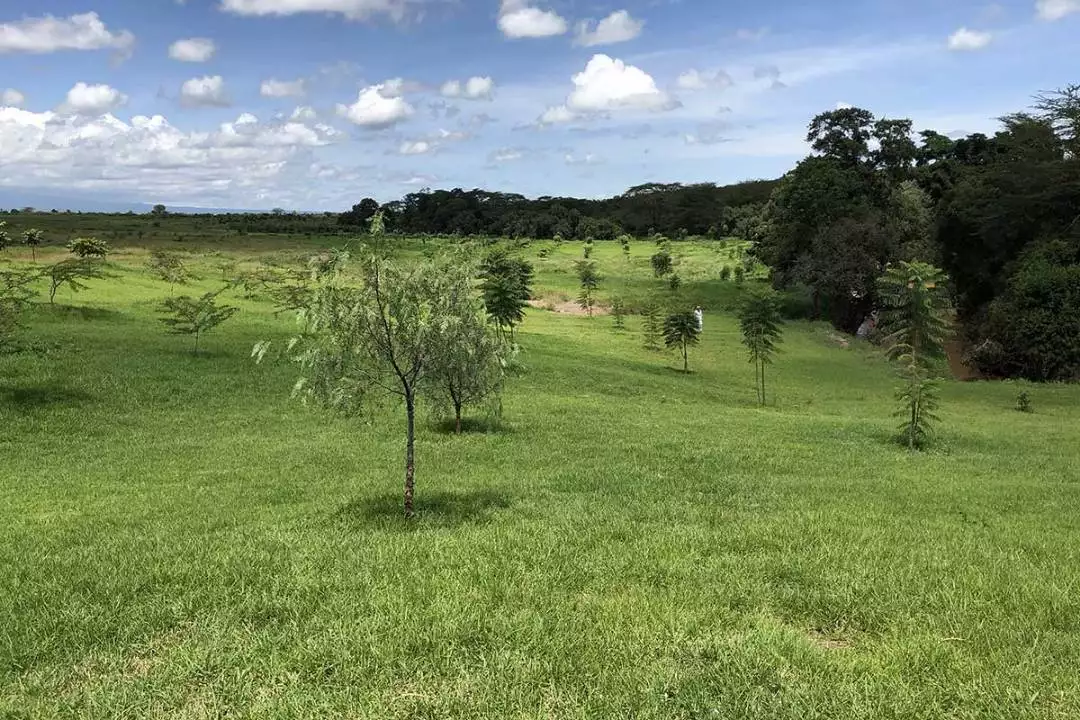 prime land for sale in Nairobi