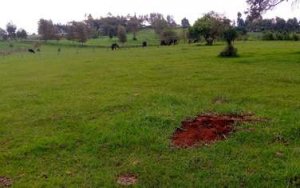 Land for Sale in Kabuku Limuru