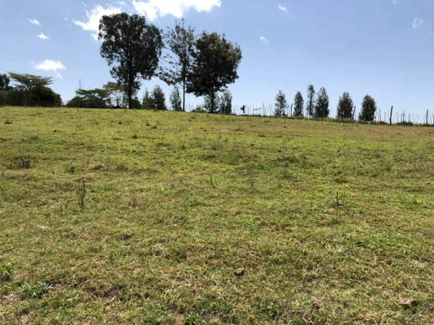 18gad prime plot for sale in nanyuki 1