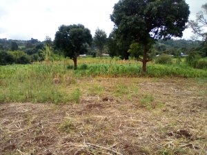 Land for Sale in Rironi Limuru