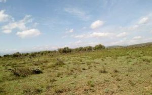 Land for Sale in Maraigushu Naivasha