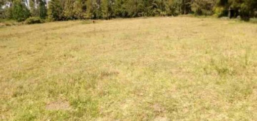 4 acre land for sale in nanyuki katheri wdlc1 1