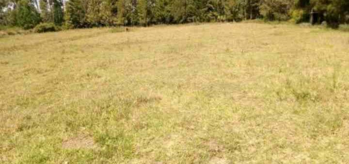 4 acre land for sale in nanyuki katheri wdlc1 1