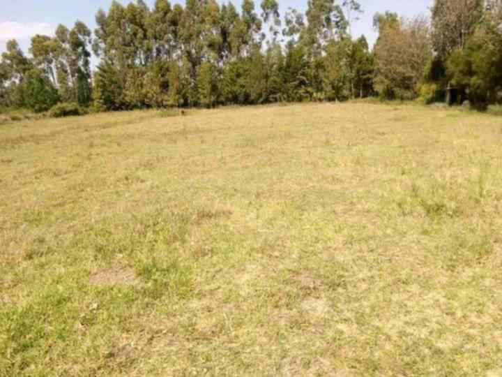 4 acre land for sale in nanyuki katheri wdlc1 1