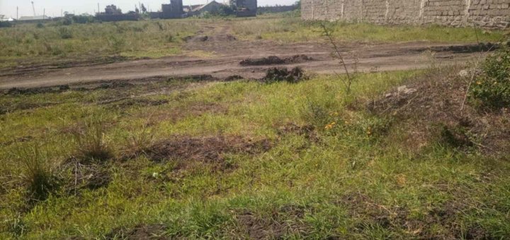 40 by 60 plots for sale in murera ndarasha ndurumo gwa tom aicuj