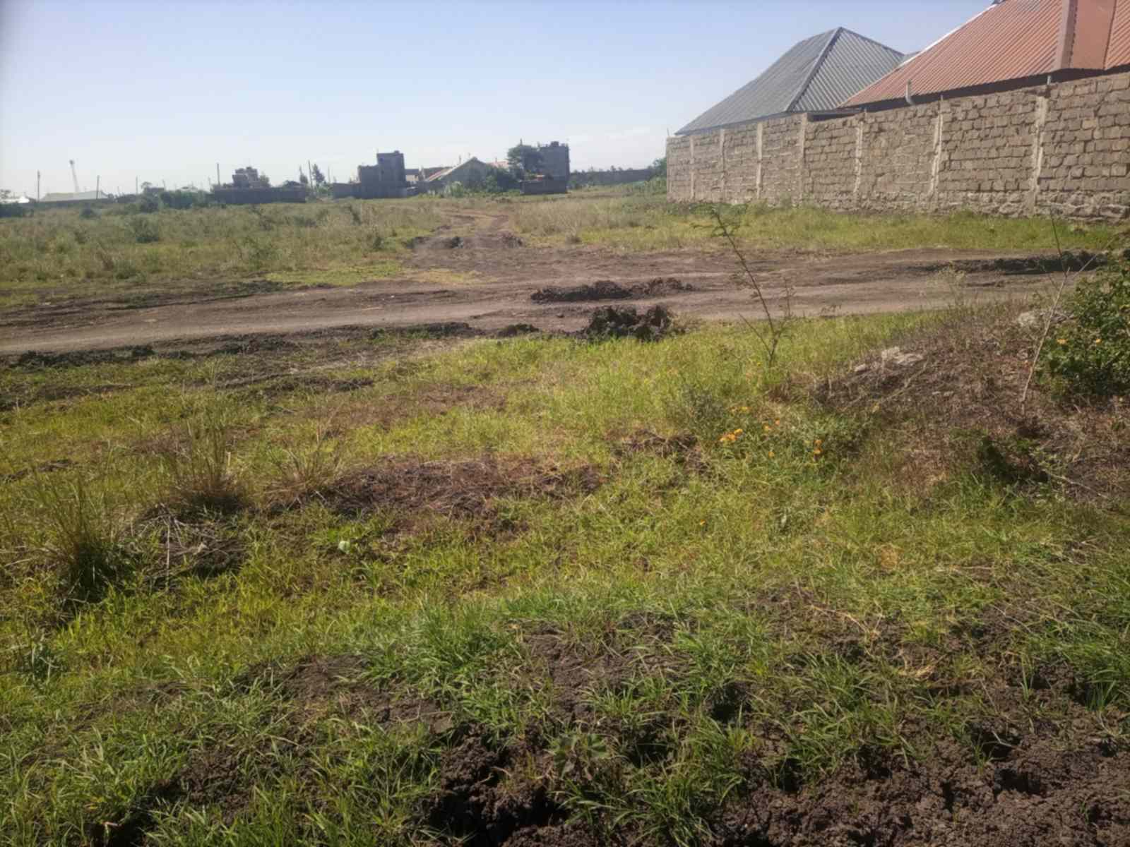 40 by 60 plots for sale in murera ndarasha ndurumo gwa tom aicuj