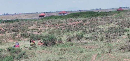 4ygrp land for sale in mwiki kasarani