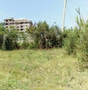 5 acre land for sale in kasarani tzywd