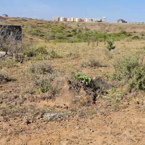 50 by 100 plot for sale in sabaki ikcqz