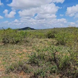 50 by 100 plots for sale in athi river near daystar cmvrj