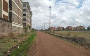 Plots for Sale in Kisii Estate Thika