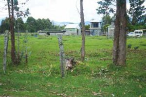 Land for Sale in Njabini Nyandarua