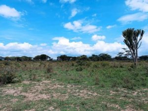 Plots for Sale in Karagita Naivasha