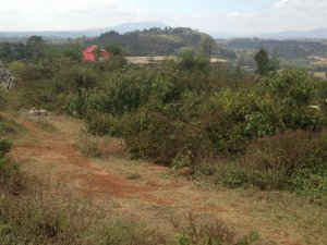 Land for Lease in Kikuyu