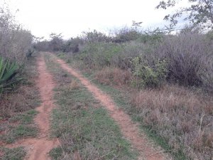 Land for Lease in Machakos